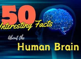 50 Interesting Facts About the Human Brain