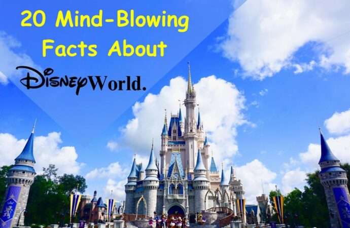 20 Mind-Blowing Facts About Disney World